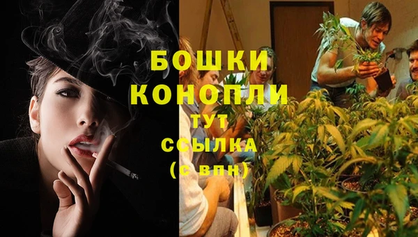 COCAINE Богородск