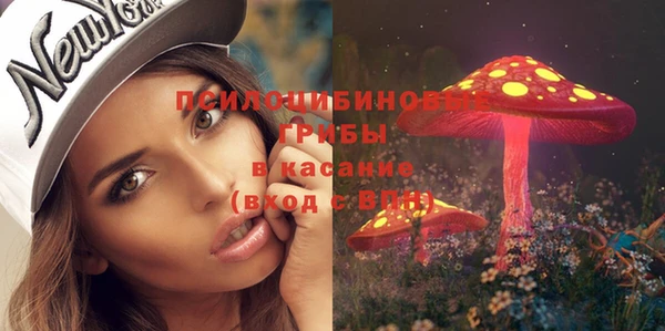 COCAINE Богородск